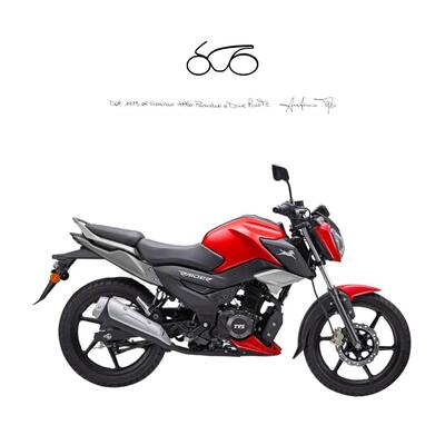 TVS Motor Raider 125 (2024 - 25) nuova