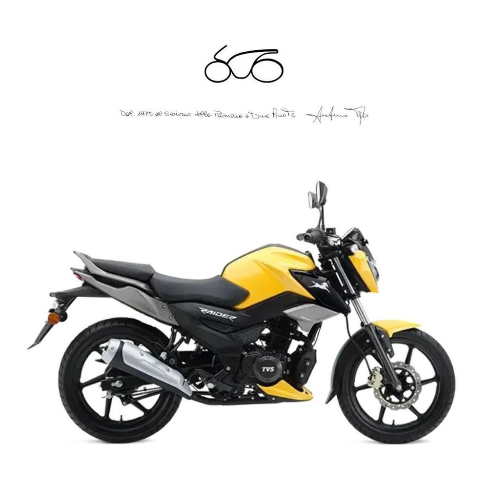 TVS Motor Raider 125 (2024 - 26)