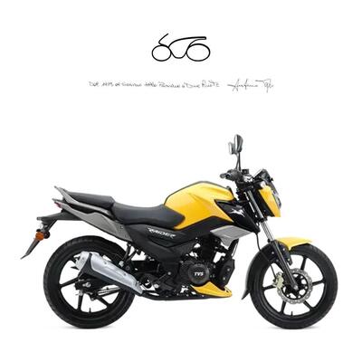 TVS Motor Raider 125 (2024 - 25) nuova