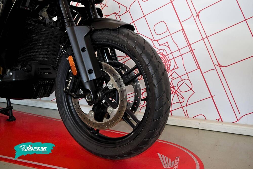 Harley-Davidson Pan America 1250 (2020 - 25) (14)