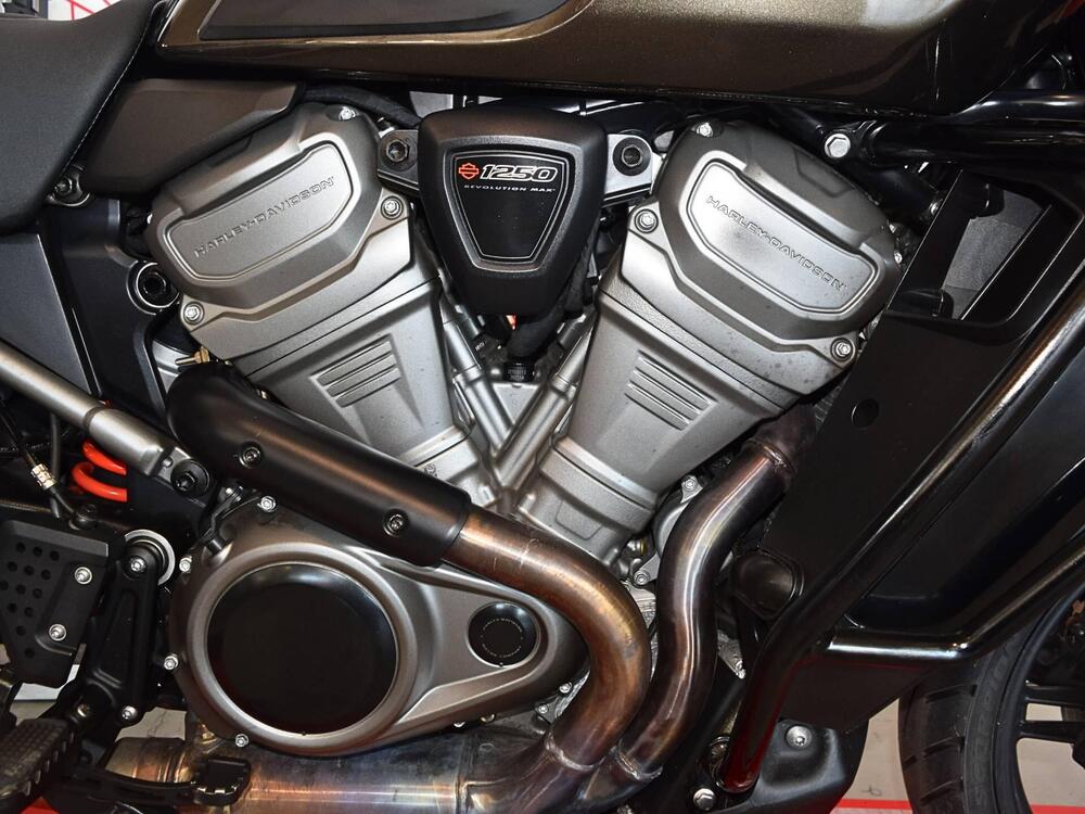 Harley-Davidson Pan America 1250 (2020 - 25) (6)