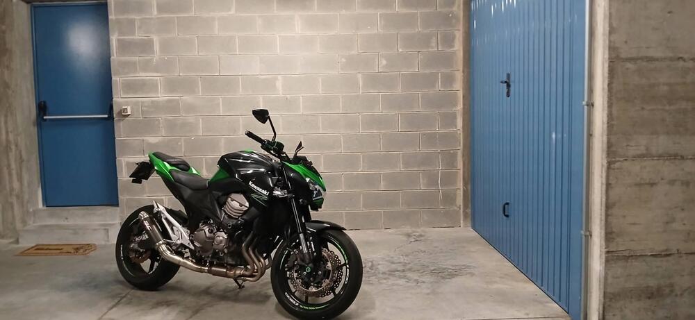 Kawasaki Z 800 e ABS (2012 - 16) (7)