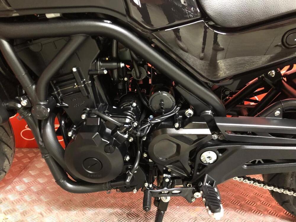 Benelli Leoncino 500 (2021 - 25) (5)