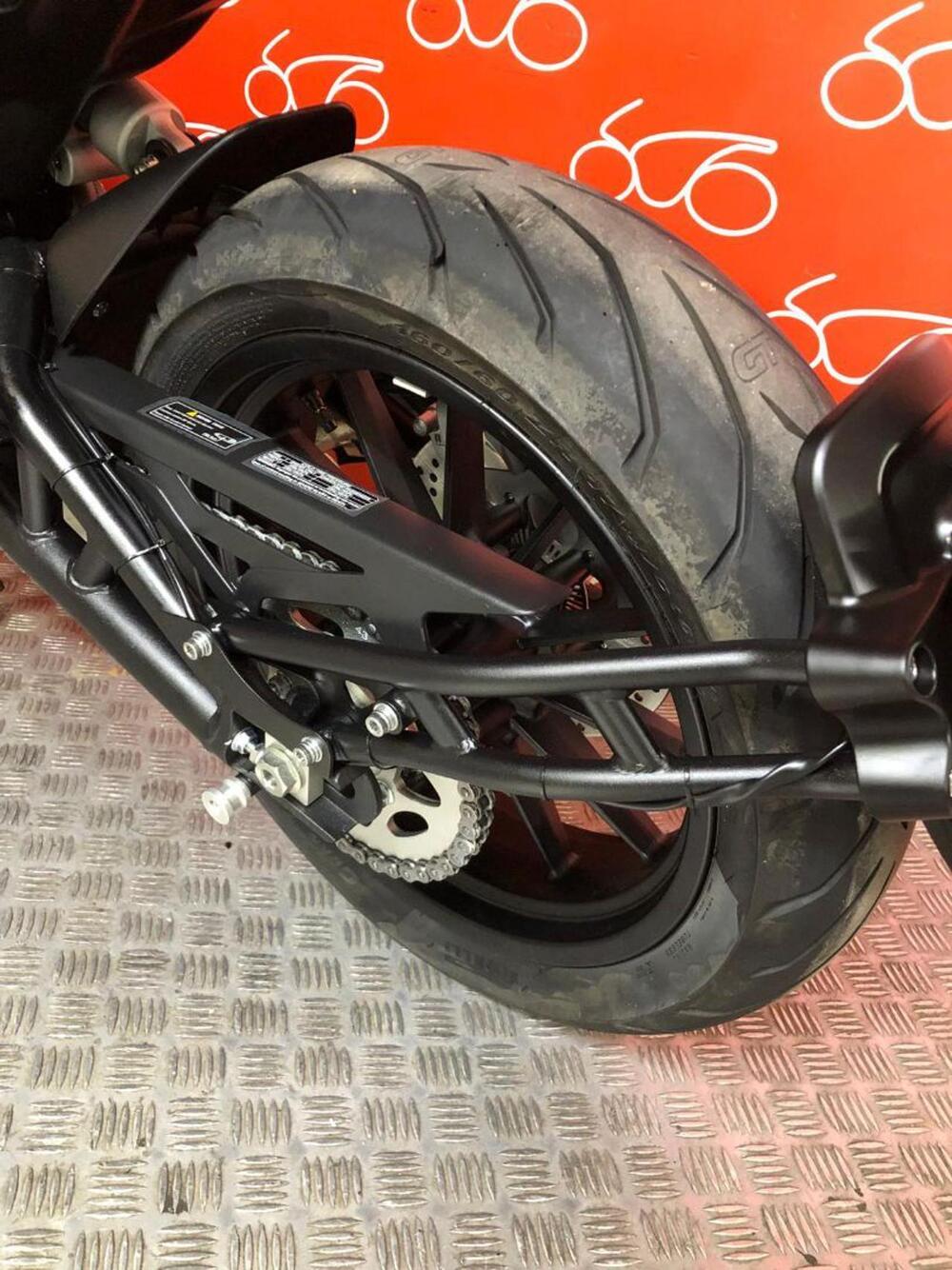 Benelli Leoncino 500 (2021 - 25) (6)