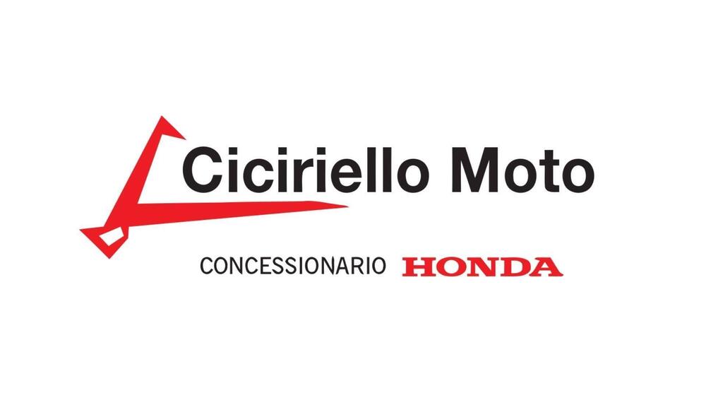 Voge Trofeo 300AC (2021 - 26) (10)