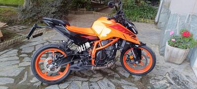 KTM 390 Duke (2024 - 26) usata