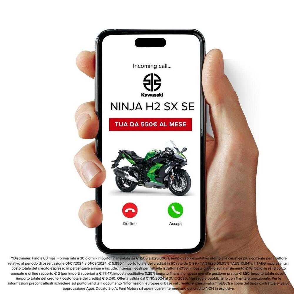 Kawasaki Ninja H2 SX SE (2023 - 26) (3)
