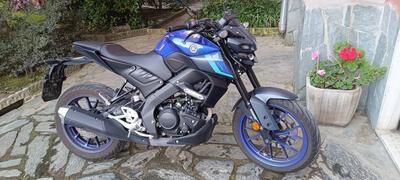 Yamaha MT-125 (2021 - 24) usata