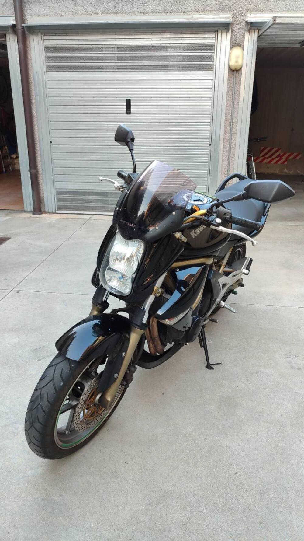 Kawasaki ER-6N (2006 - 09) (6)