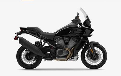 Harley-Davidson Pan America 1250 Special (2020 - 25) nuova