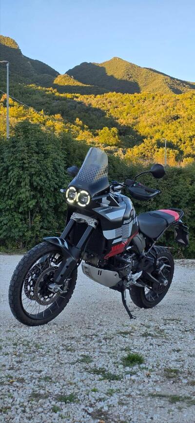 Ducati DesertX (2022 - 25) usata