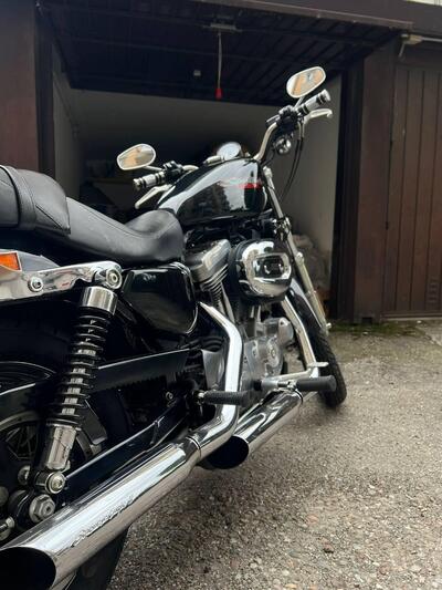 Harley-Davidson 883 (2006 - 07) - XL usata