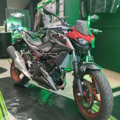 Kawasaki Z 500 SE (2024 - 26) usata