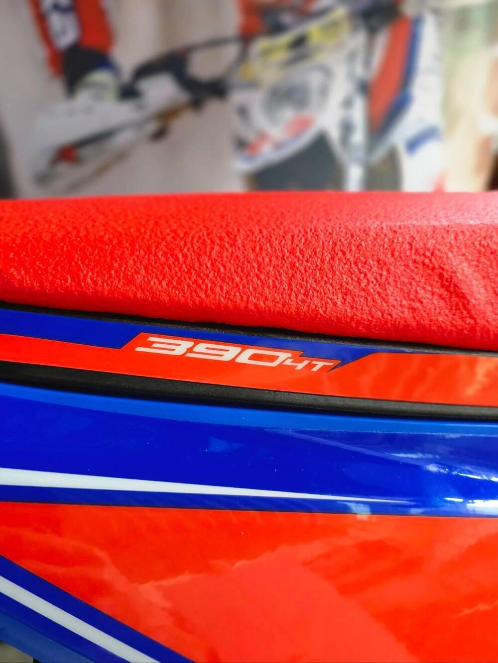 Betamotor RR 390 4T Enduro Race (2025) (2)