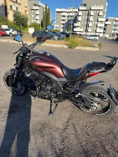 Benelli 502 C (2019 - 20) usata