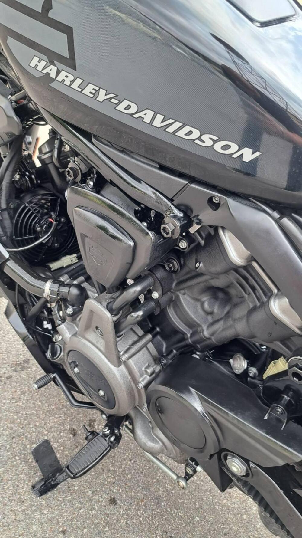 Harley-Davidson Nightster Special (2023 - 26) (8)