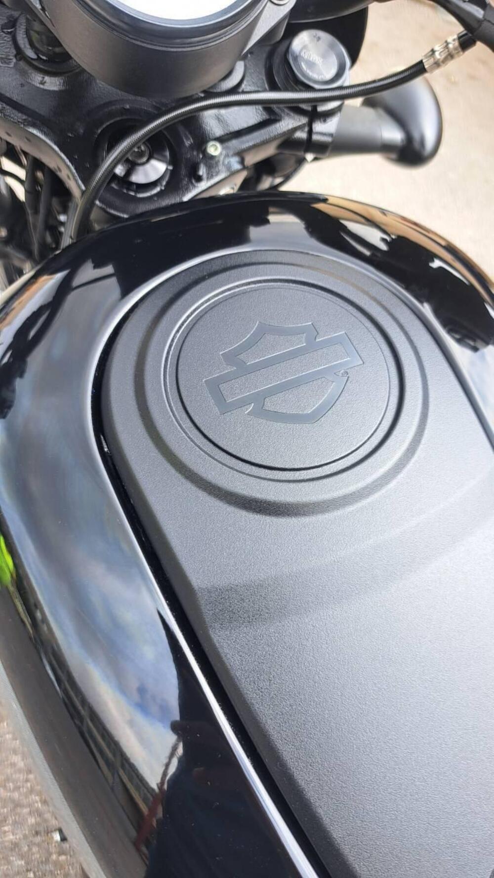 Harley-Davidson Nightster Special (2023 - 26) (10)