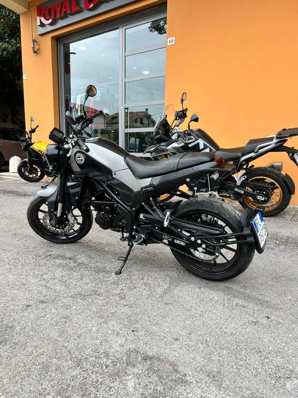 Benelli Leoncino 250 (2021 - 25) (4)