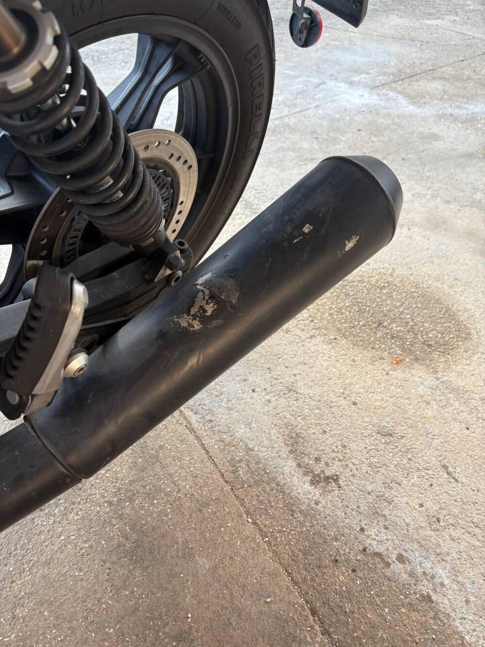 Moto Guzzi V7 III Stone Night Pack (2019 - 20) (6)