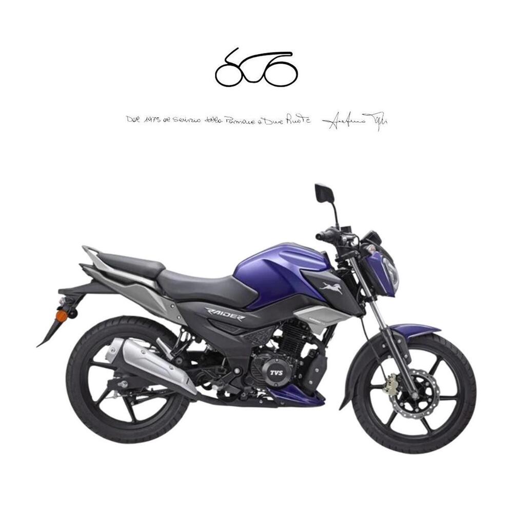 TVS Motor Raider 125 (2024 - 26)