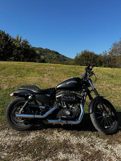 Harley-Davidson 883 Iron (2012 - 14) - XL 883N usata
