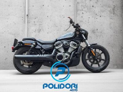 Harley-Davidson Nightster Special (2023 - 25) usata