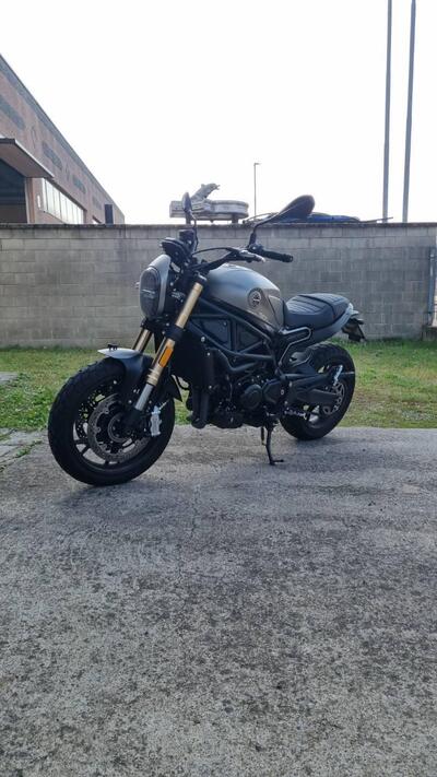 Benelli Leoncino 800 (2022 - 25) usata