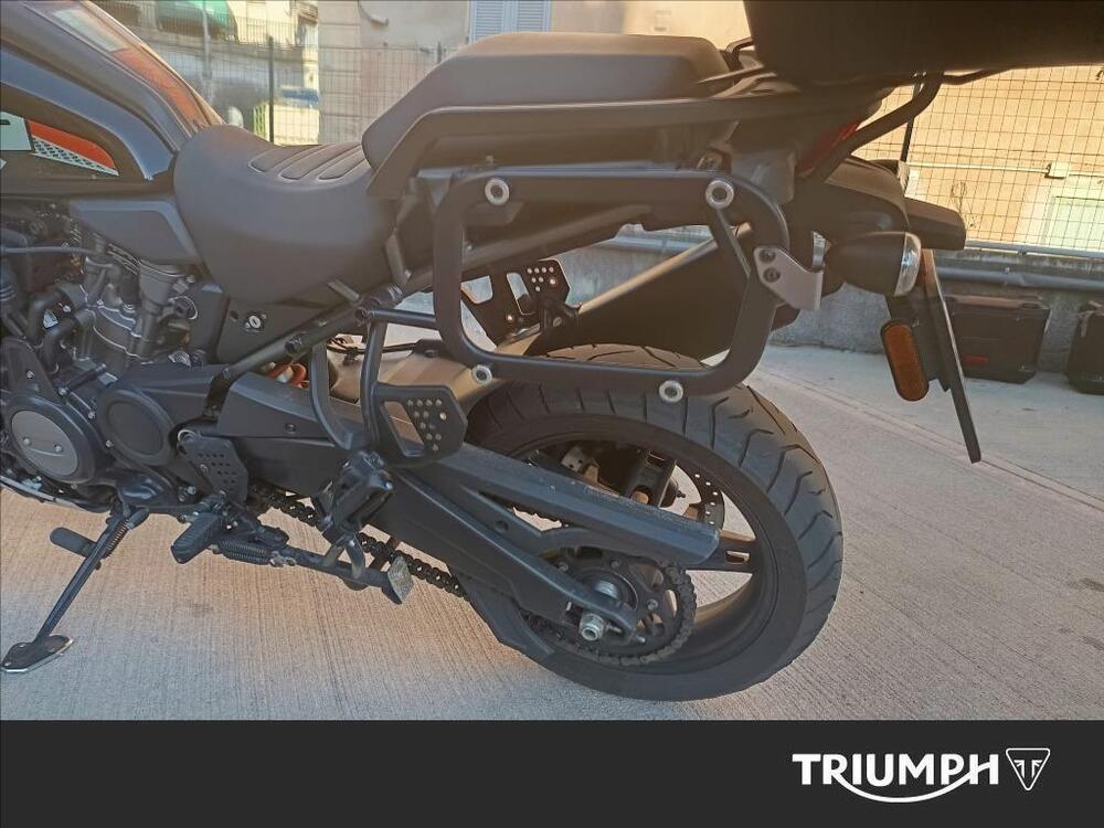 Harley-Davidson Pan America 1250 Special (2020 - 25) (6)