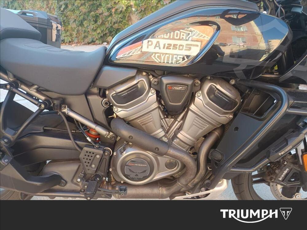 Harley-Davidson Pan America 1250 Special (2020 - 25) (7)