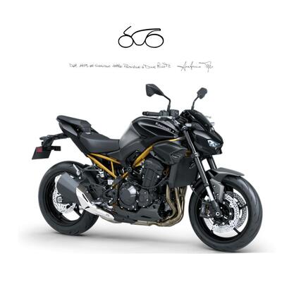 Kawasaki Z 900 (2025 - 26) nuova