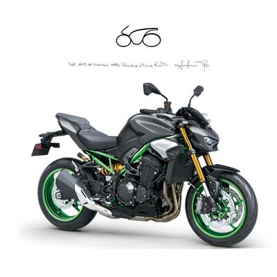 Kawasaki Z 900 SE (2025 - 26) nuova