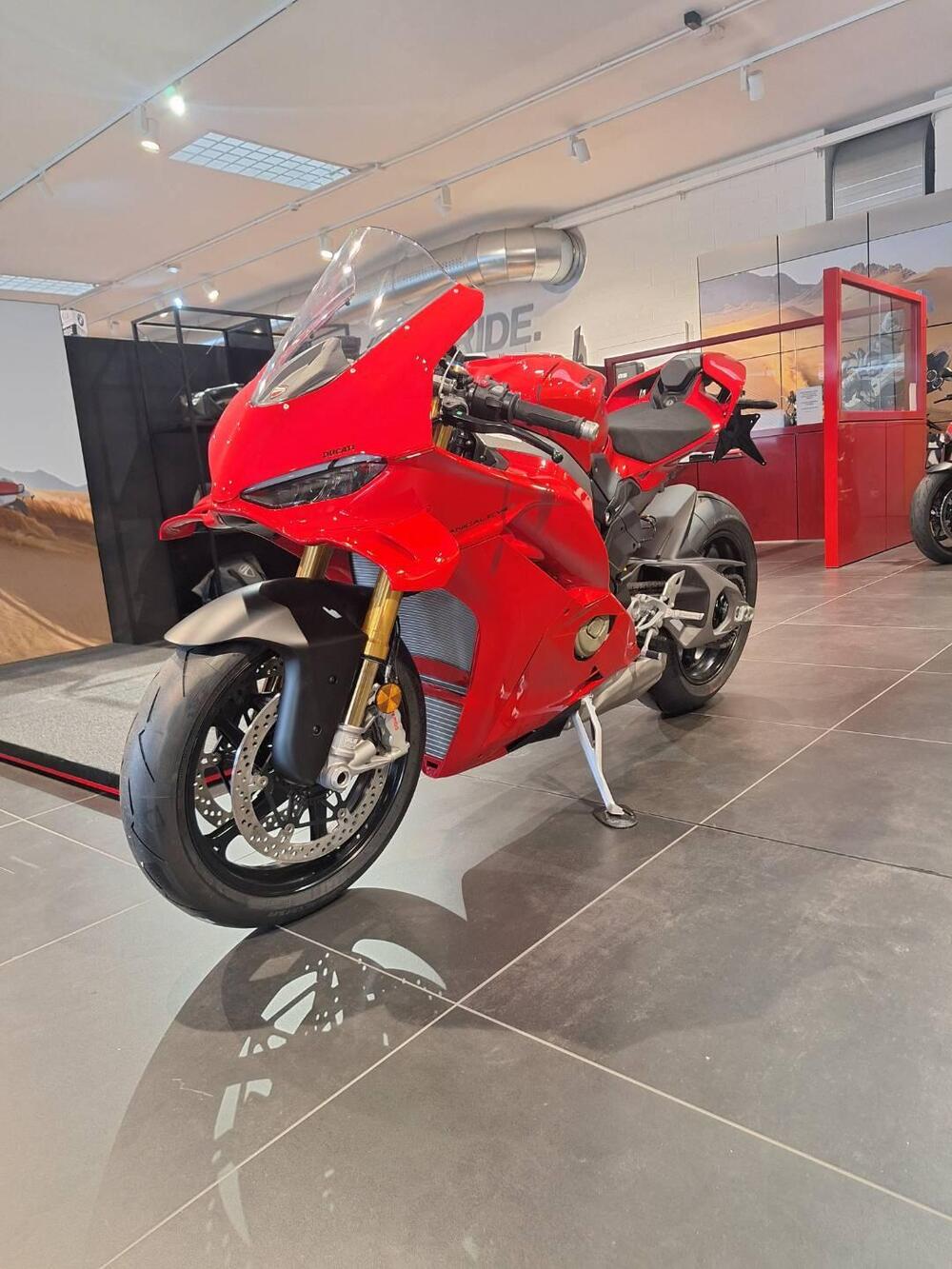 Ducati Panigale V4 S (2025 - 26)