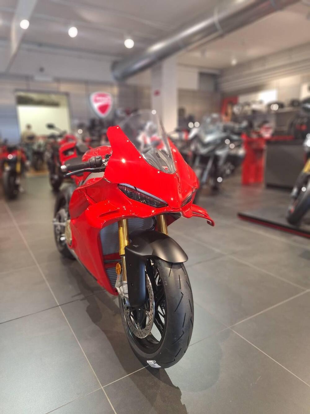 Ducati Panigale V4 S (2025 - 26) (2)