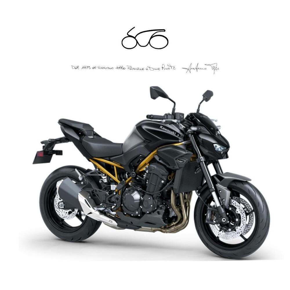 Kawasaki Z 900 A2 (2025 - 26)