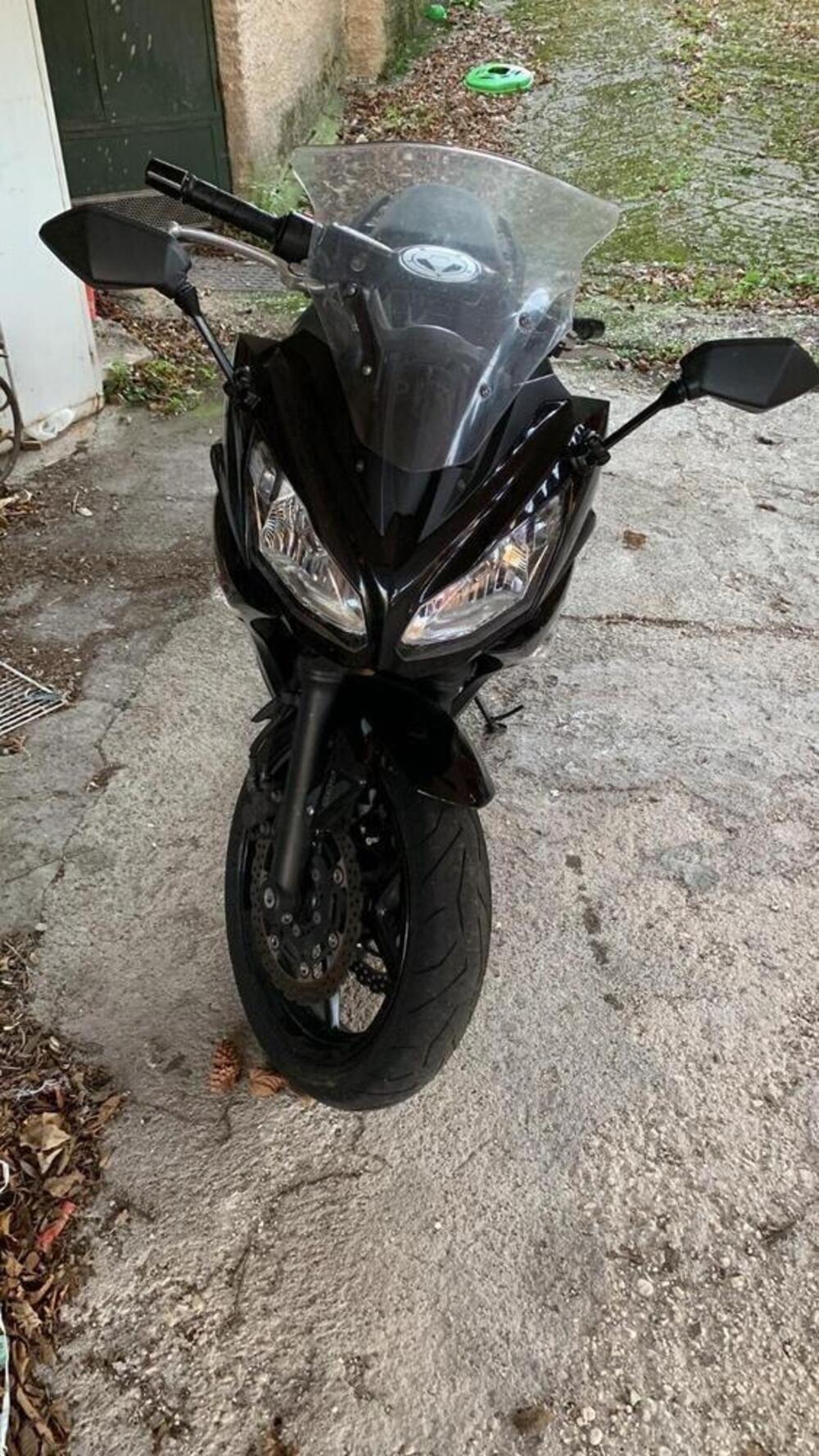 Kawasaki ER-6F (2012 - 13) (3)