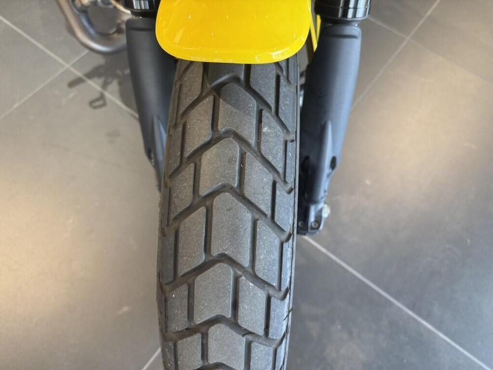 Ducati Scrambler 800 Icon (2023 - 24) (9)
