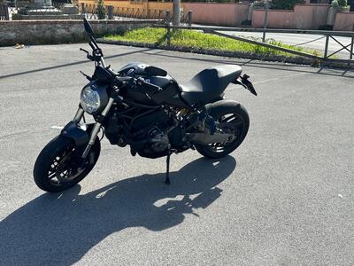Ducati Monster 821 (2018 - 20) usata