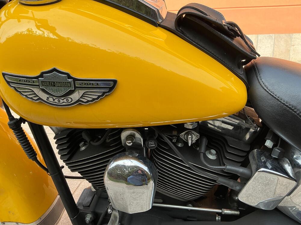 Harley-Davidson 1450 Heritage Classic (2003 - 05) - FLSTCI (9)