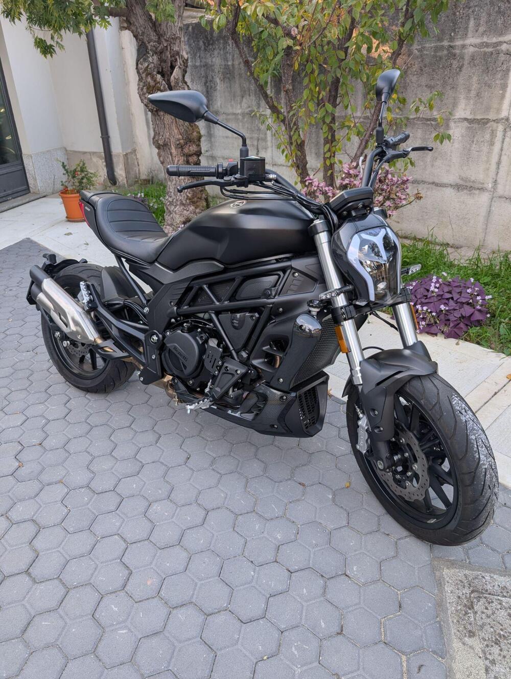 Benelli 502 C (2021 - 25)