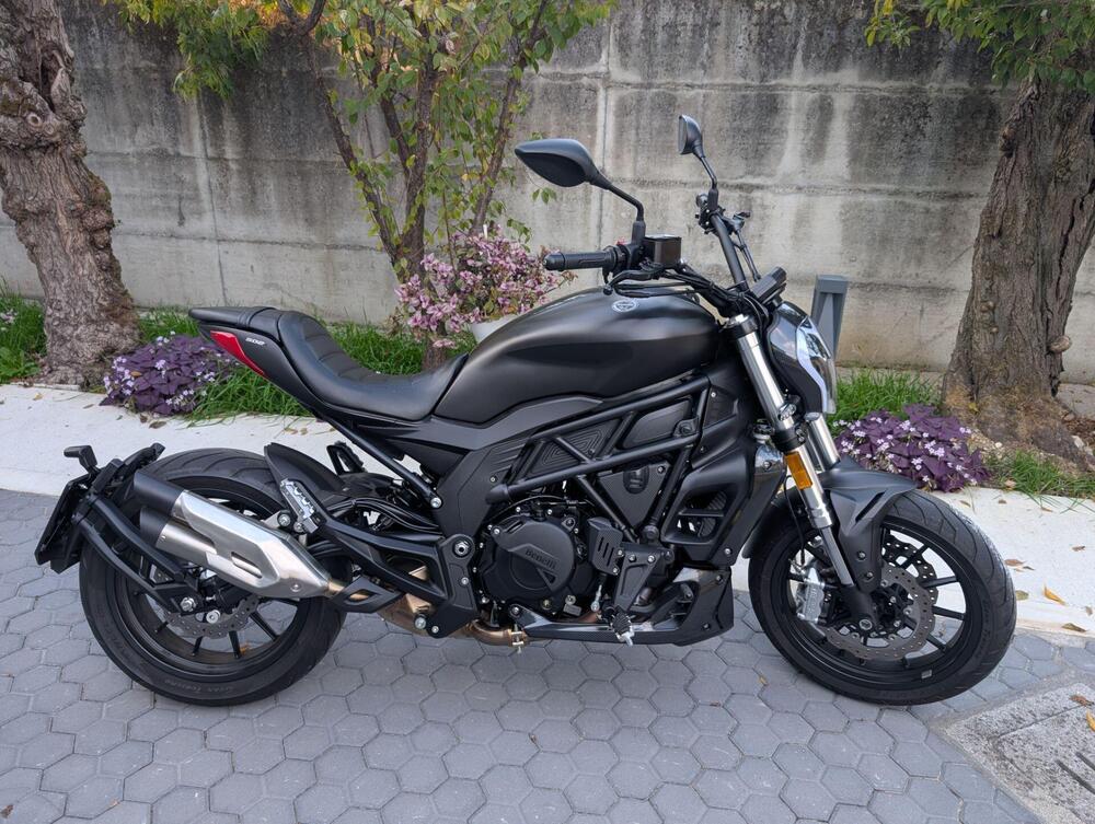 Benelli 502 C (2021 - 25) (2)