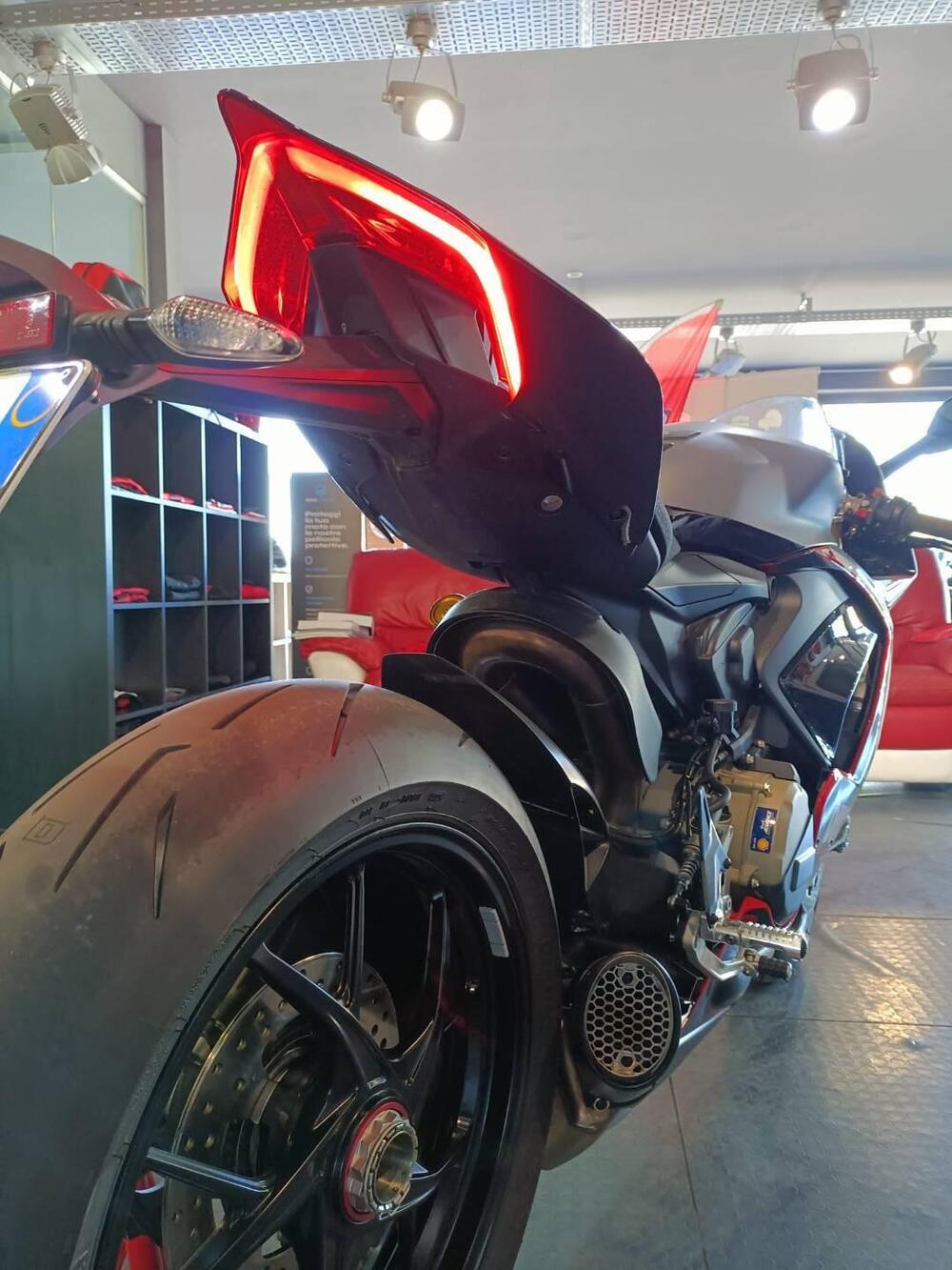 Ducati Panigale V2 Superquadro Final Edition (2024) (10)