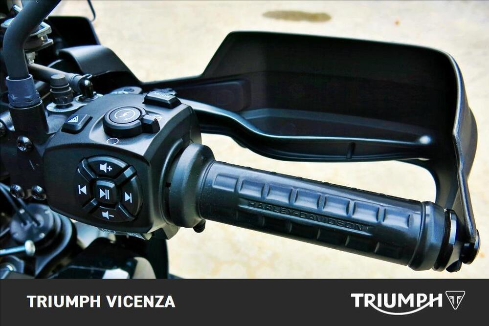 Harley-Davidson Pan America 1250 Special (2020 - 25) (21)