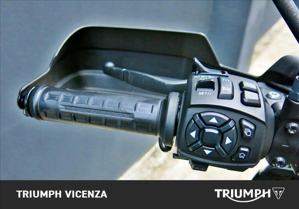 Harley-Davidson Pan America 1250 Special (2020 - 25) (22)