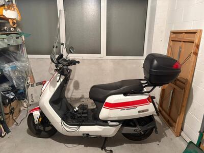 Niu NQi GTS L3e (2019 - 20) usata