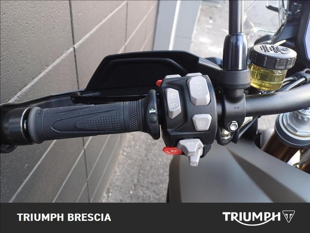 Triumph Tiger 1200 Rally Pro (2024 - 26) (8)