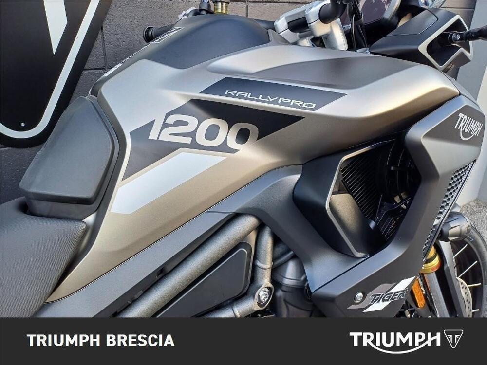 Triumph Tiger 1200 Rally Pro (2024 - 26) (6)