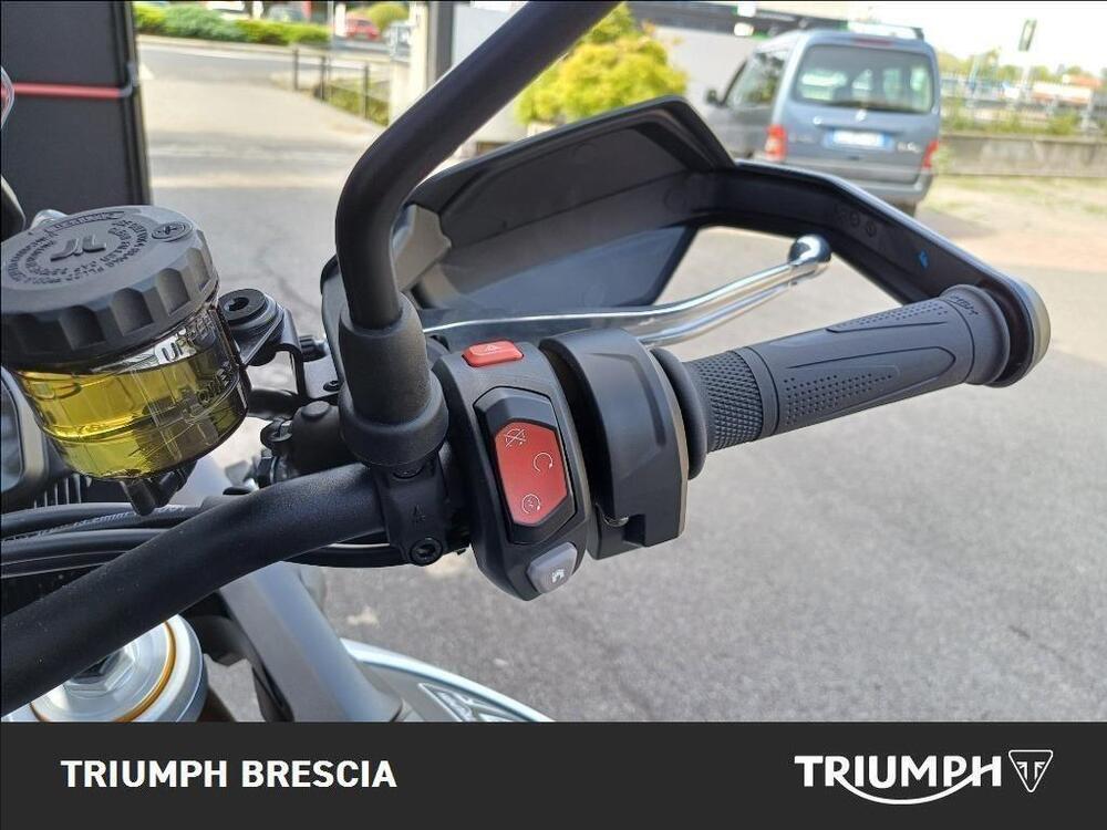 Triumph Tiger 900 Rally Pro (2024 - 26) (9)