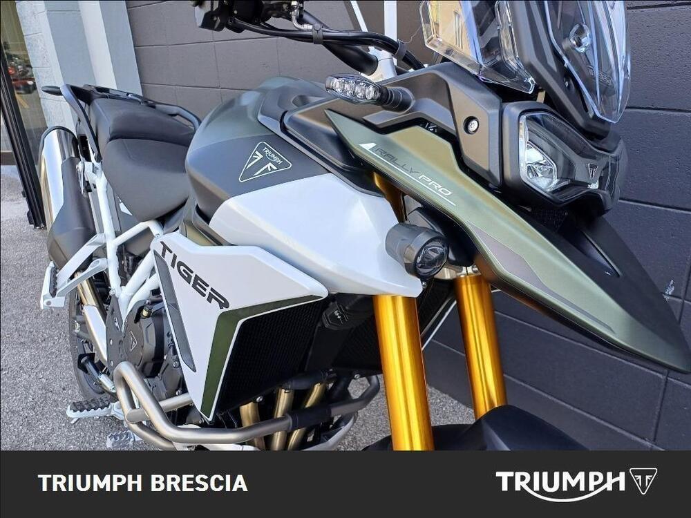 Triumph Tiger 900 Rally Pro (2024 - 26) (6)