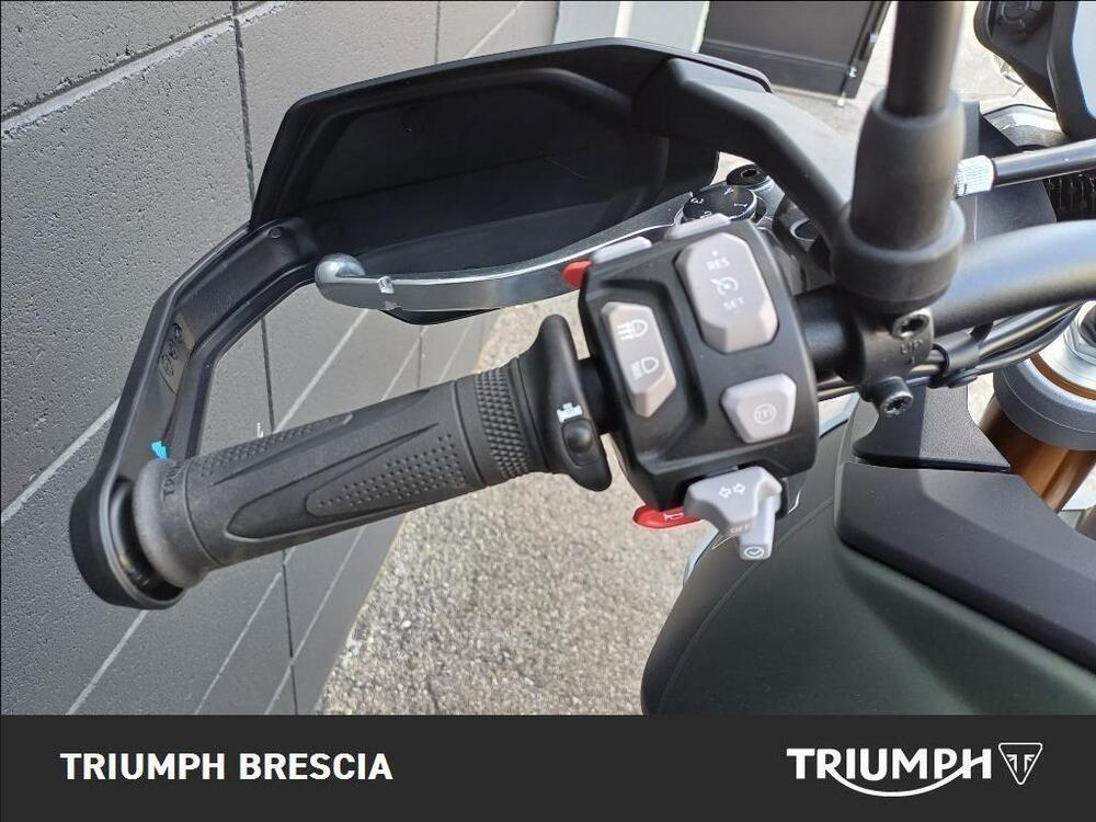 Triumph Tiger 900 Rally Pro (2024 - 26) (8)