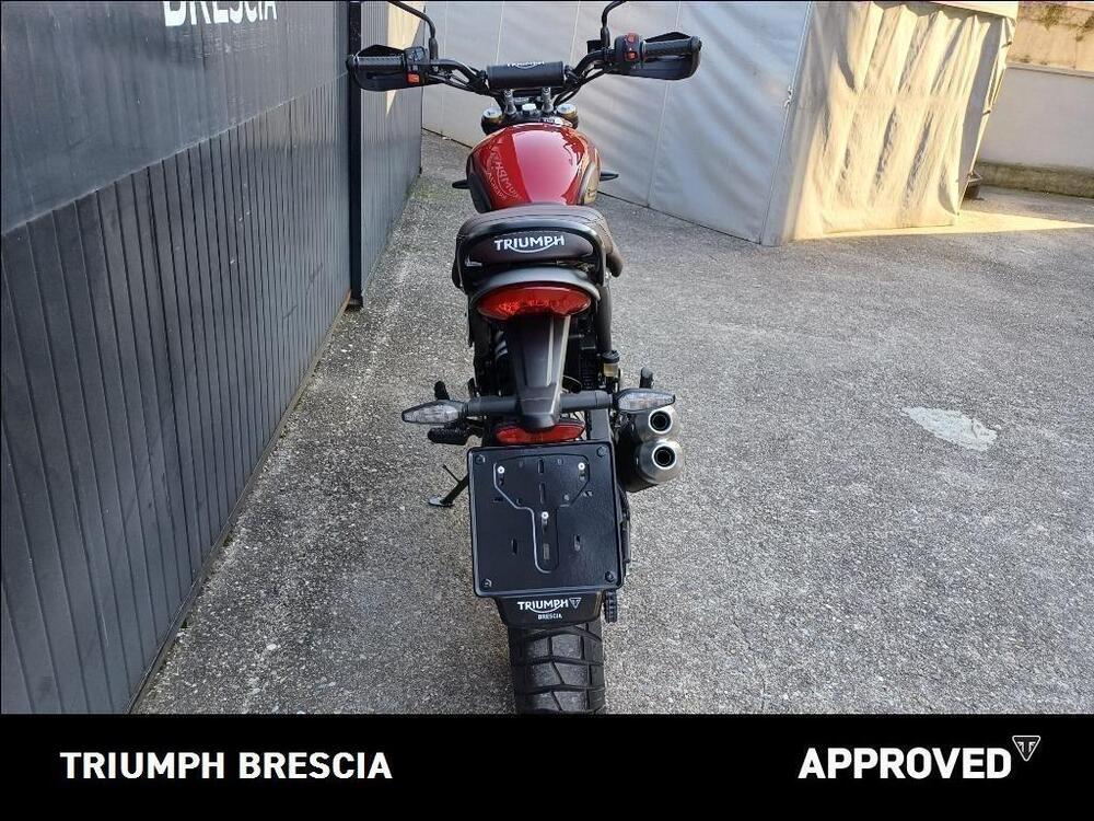 Triumph Scrambler 400 X (2024 - 26) (8)